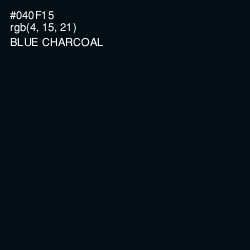 #040F15 - Blue Charcoal Color Image